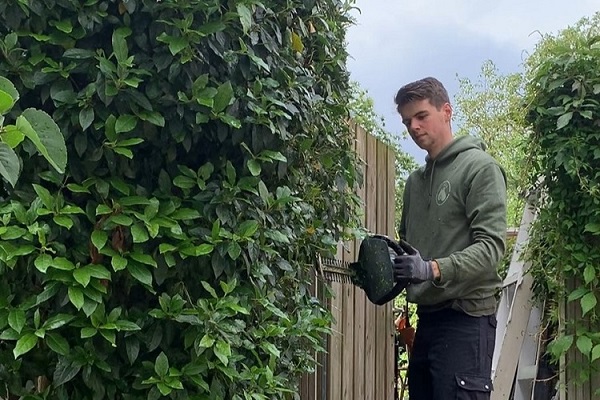 Snoeien van struiken en bomen. Maaien van het gras. Wieden van onkruid. Planten van bloemen en planten